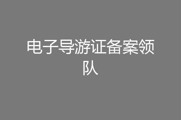 电子导游证备案领队