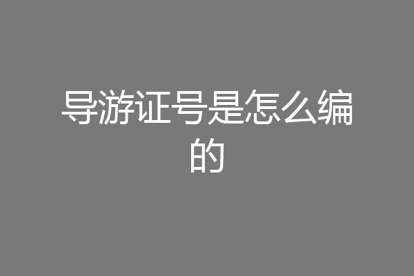 导游证号是怎么编的