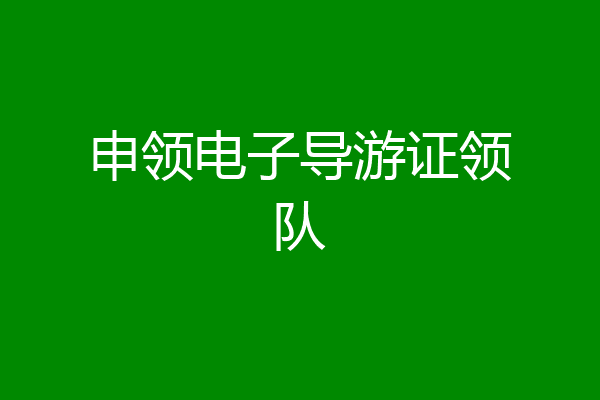 申领电子导游证领队