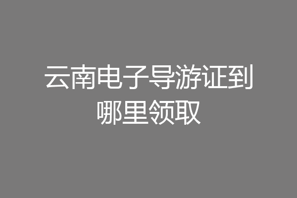 云南电子导游证到哪里领取