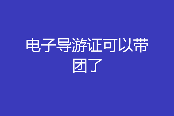 电子导游证可以带团了