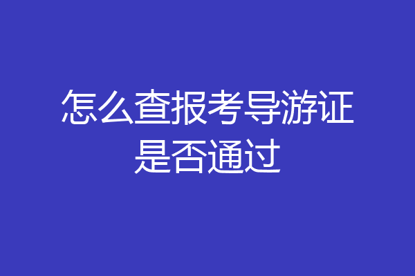 怎么查报考导游证是否通过