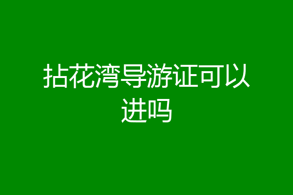 拈花湾导游证可以进吗
