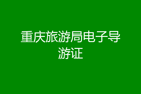 重庆旅游局电子导游证