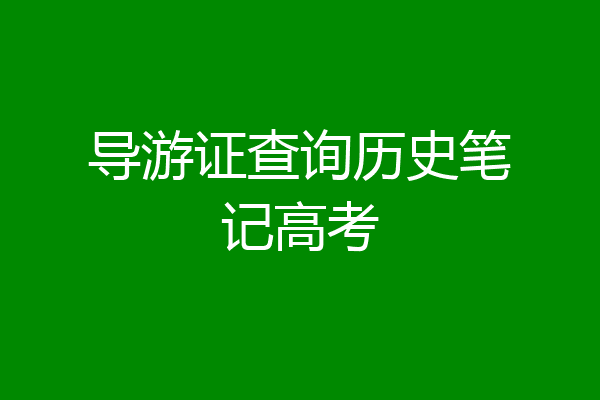 导游证查询历史笔记高考