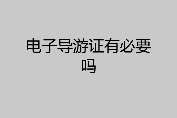 电子导游证有必要吗