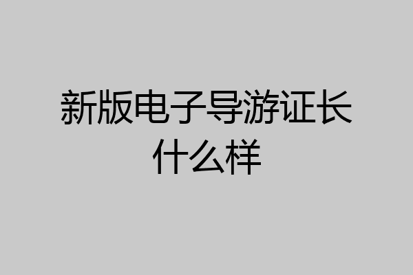 新版电子导游证长什么样