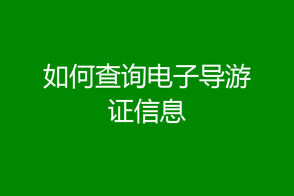 如何查询电子导游证信息