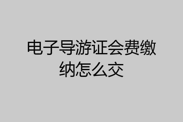 电子导游证会费缴纳怎么交