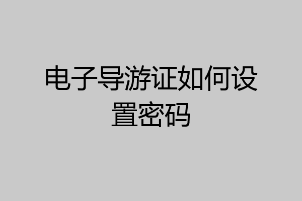 电子导游证如何设置密码