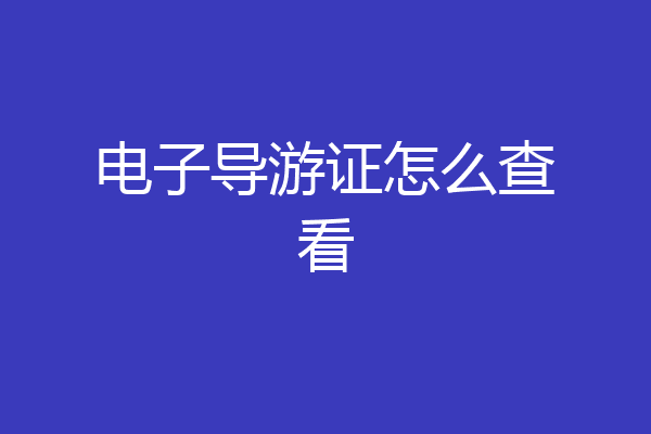 电子导游证怎么查看