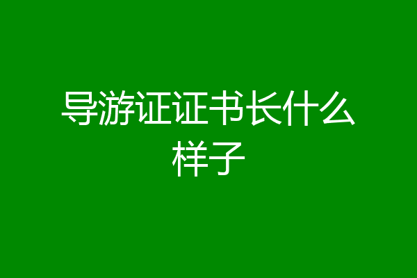 导游证证书长什么样子