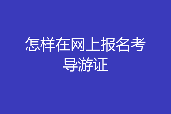 怎样在网上报名考导游证