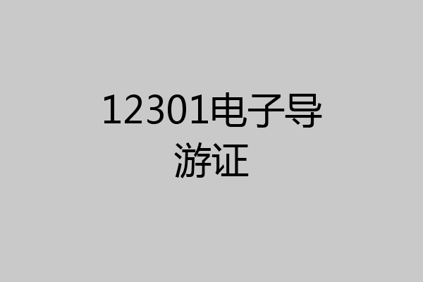 12301电子导游证