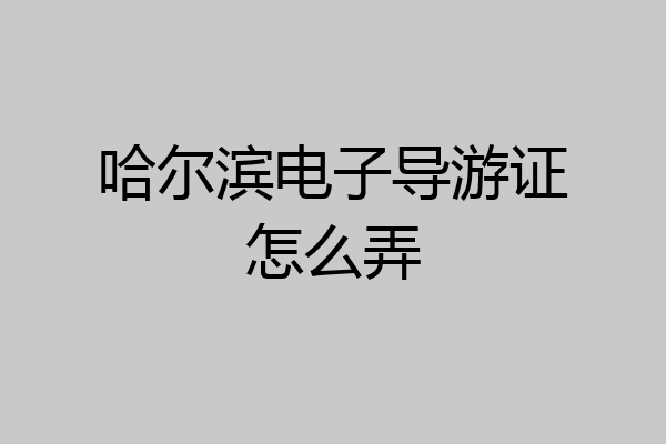 哈尔滨电子导游证怎么弄