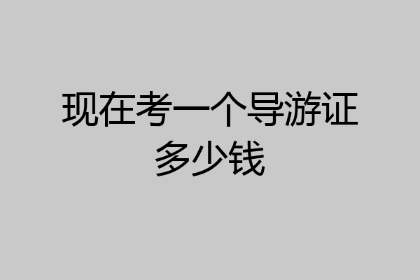 现在考一个导游证多少钱