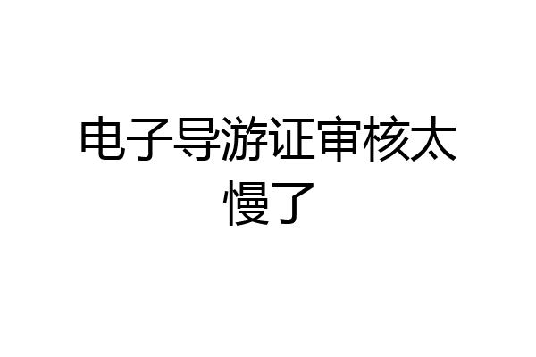 电子导游证审核太慢了