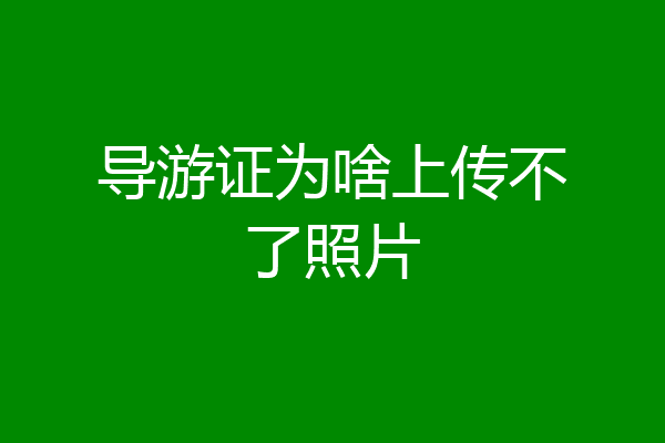 导游证为啥上传不了照片