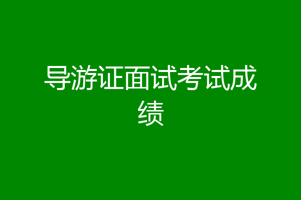 导游证面试考试成绩