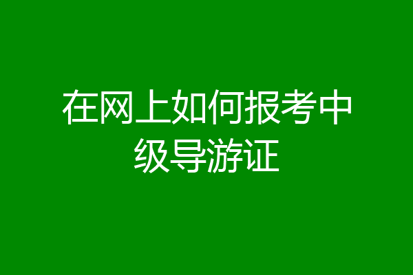 在网上如何报考中级导游证