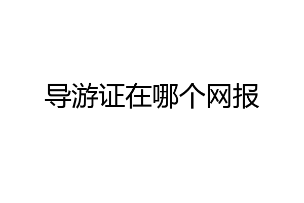 导游证在哪个网报