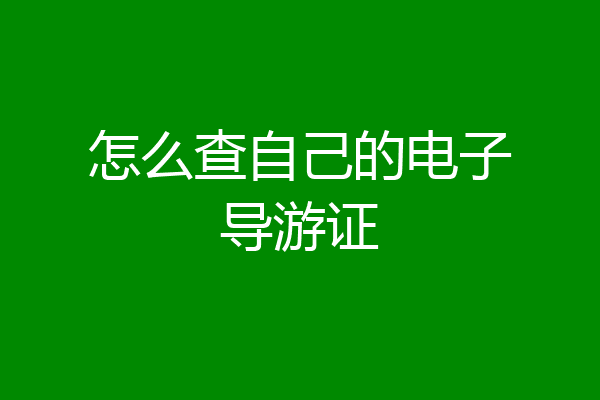 怎么查自己的电子导游证