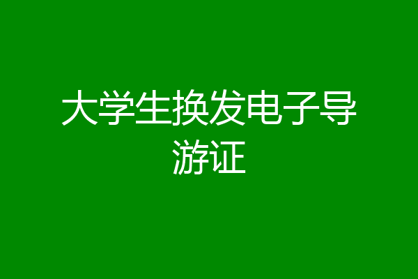 大学生换发电子导游证