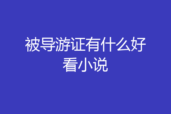 被导游证有什么好看小说