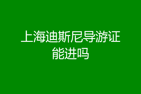 上海迪斯尼导游证能进吗