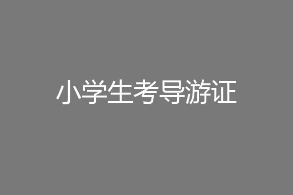 小学生考导游证