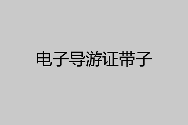电子导游证带子