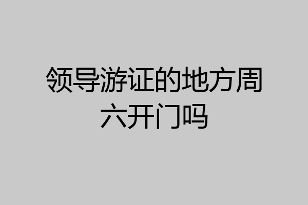 领导游证的地方周六开门吗