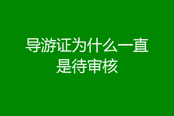 导游证为什么一直是待审核