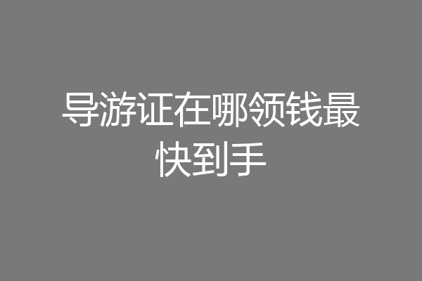 导游证在哪领钱最快到手
