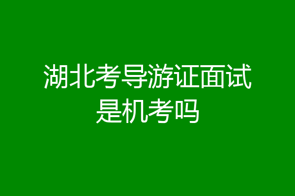 湖北考导游证面试是机考吗