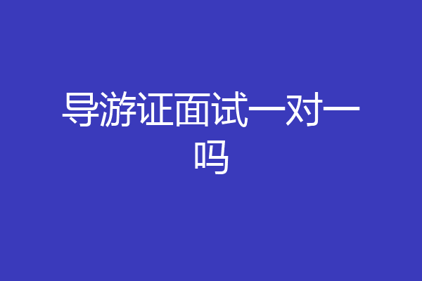 导游证面试一对一吗
