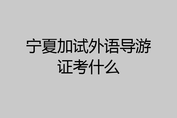 宁夏加试外语导游证考什么