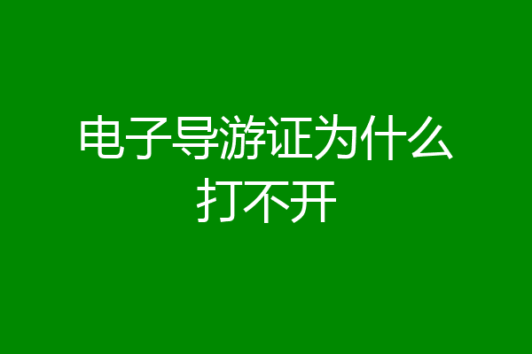 电子导游证为什么打不开
