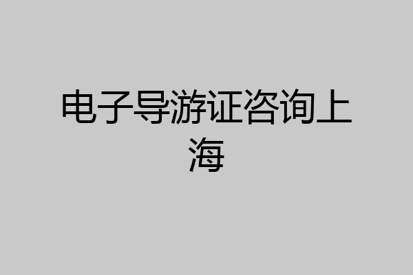 电子导游证咨询上海