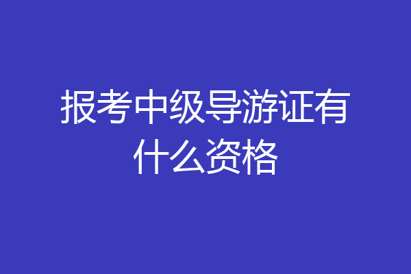 报考中级导游证有什么资格