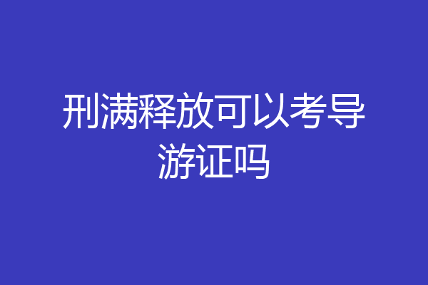 刑满释放可以考导游证吗