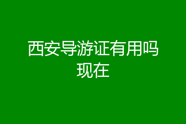 西安导游证有用吗现在