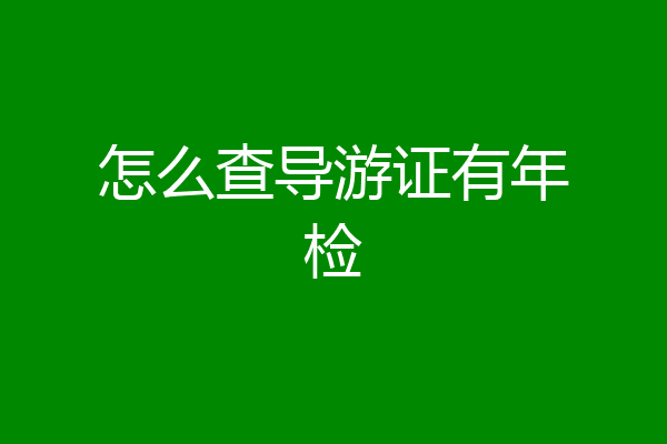 怎么查导游证有年检