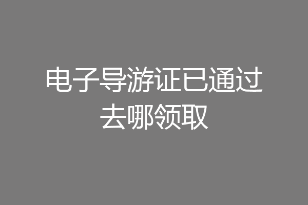 电子导游证已通过去哪领取