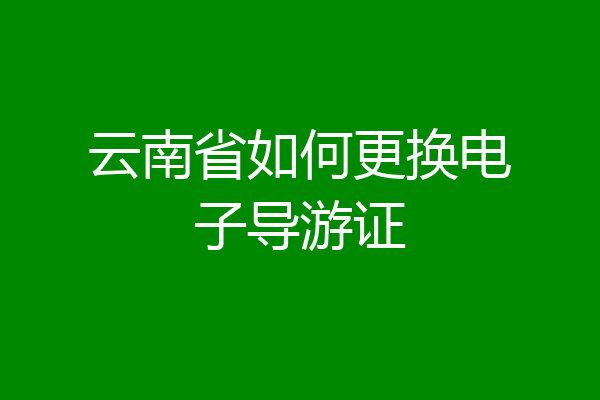 云南省如何更换电子导游证
