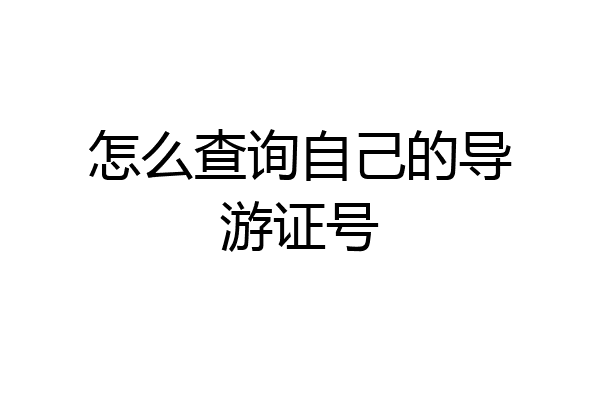 怎么查询自己的导游证号