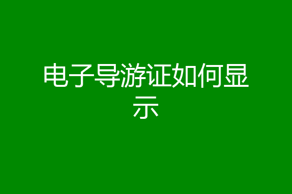 电子导游证如何显示
