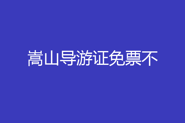 嵩山导游证免票不