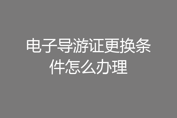 电子导游证更换条件怎么办理