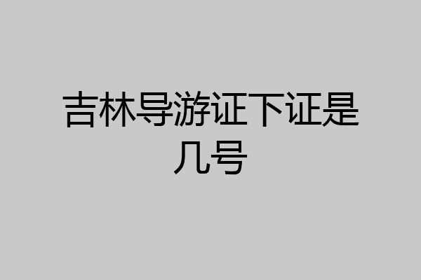 吉林导游证下证是几号